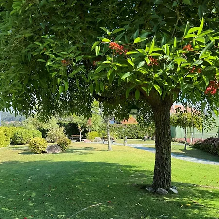 Galatea 4* Paxarinas