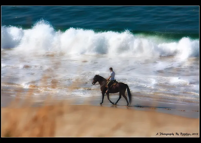 Galatea 4* Paxarinas